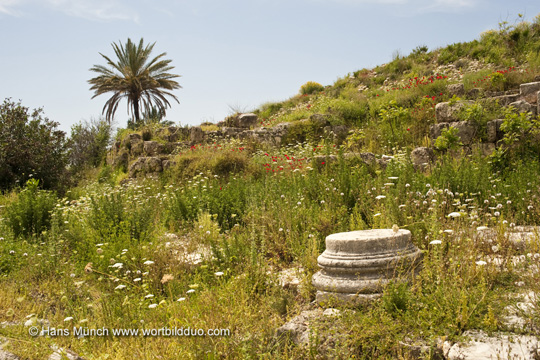 Byblos Ausgrabungsgebiet