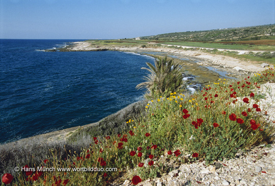 Küste des Libanon im Süden, kurz vor der Grenze nach Palestina
