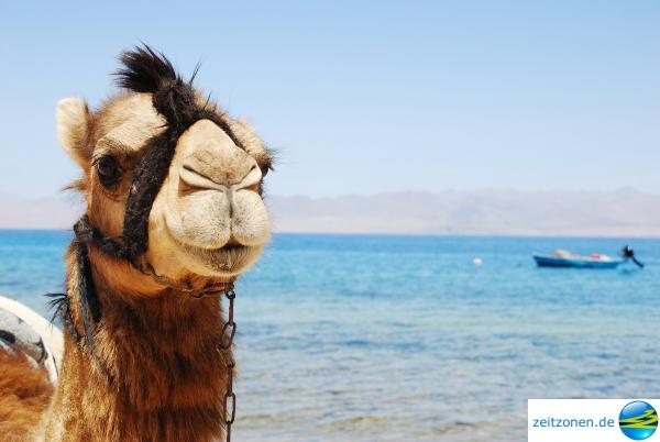 Was kostet cialis in ägypten Was kostet cialis in ägypten